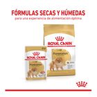 Royal Canin Adult Lulu da Pomerânia ração para cães, , large image number null